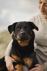 woman with Beauceron