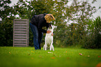 White Swiss Shepherd Dog