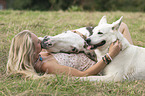 Berger Blanc Suisse with woman and donkey