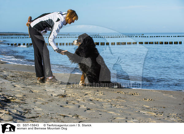 Frau und Berner Sennenhund / woman and Bernese Mountain Dog / SST-15843