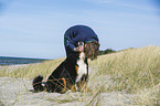 woman with Bernese Mountain Dog