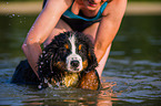 woman and young Bernese Mountain Dog