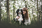 female Bernese Mountain Dog