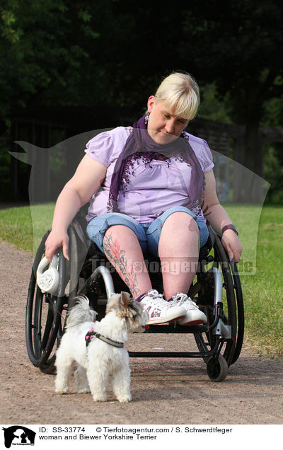Frau und Biewer Yorkshire Terrier / woman and Biewer Yorkshire Terrier / SS-33774