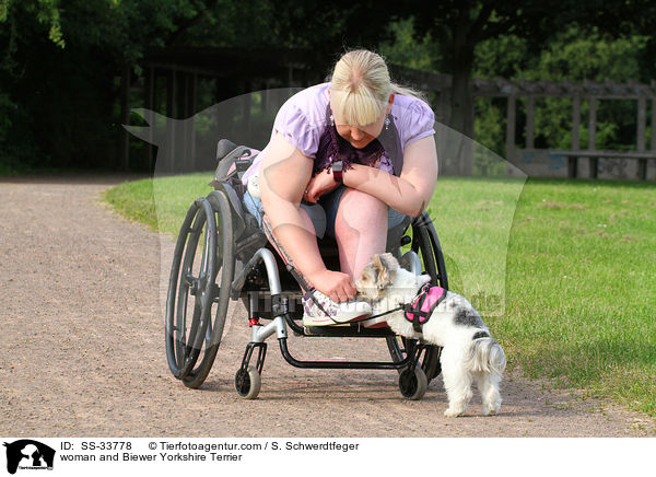 Frau und Biewer Yorkshire Terrier / woman and Biewer Yorkshire Terrier / SS-33778