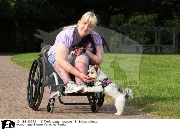 Frau und Biewer Yorkshire Terrier / woman and Biewer Yorkshire Terrier / SS-33779