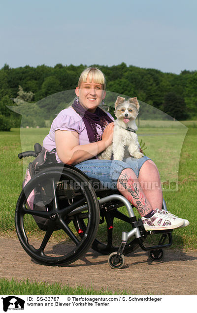 Frau und Biewer Yorkshire Terrier / woman and Biewer Yorkshire Terrier / SS-33787