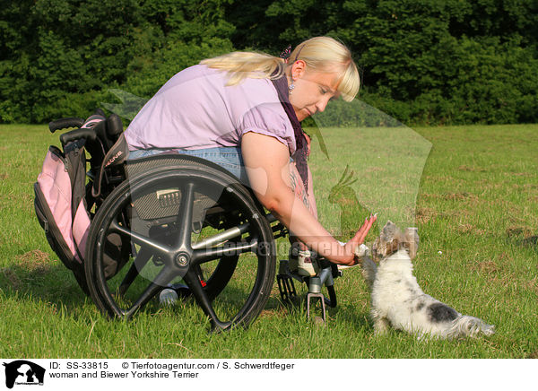 Frau und Biewer Yorkshire Terrier / woman and Biewer Yorkshire Terrier / SS-33815