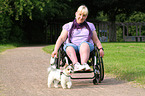 woman and Biewer Yorkshire Terrier