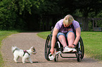 woman and Biewer Yorkshire Terrier