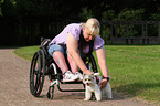 woman and Biewer Yorkshire Terrier