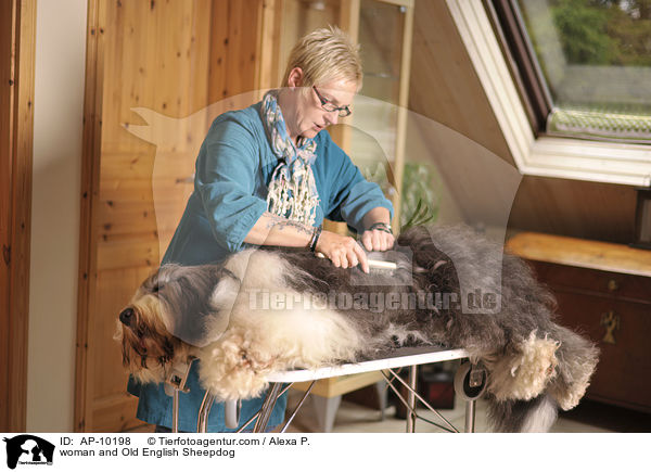 woman and Old English Sheepdog / AP-10198