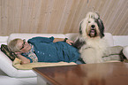 woman and Old English Sheepdog