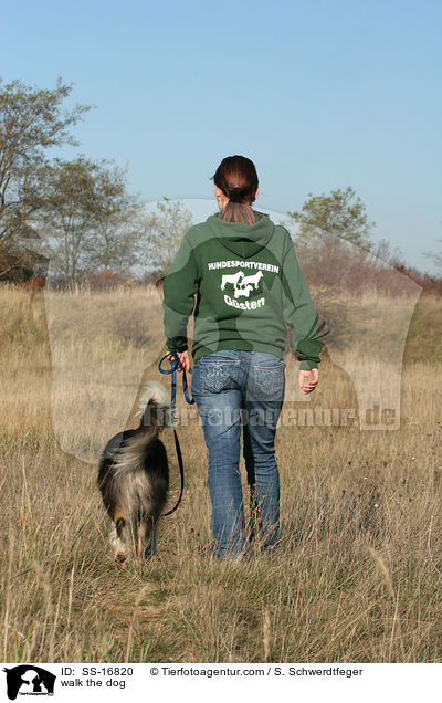 Gassi gehen mit Border Collie / walk the dog / SS-16820