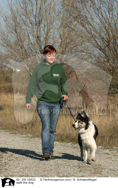 Gassi gehen mit Border Collie / walk the dog / SS-16823