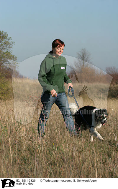 Gassi gehen mit Border Collie / walk the dog / SS-16826