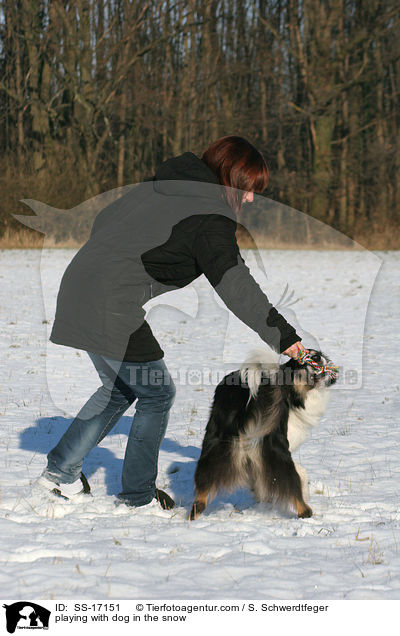 junge Frau spielt mit Hund im Schnee / playing with dog in the snow / SS-17151