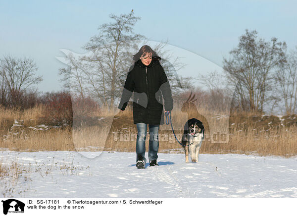 Gassi gehen im Schnee / walk the dog in the snow / SS-17181