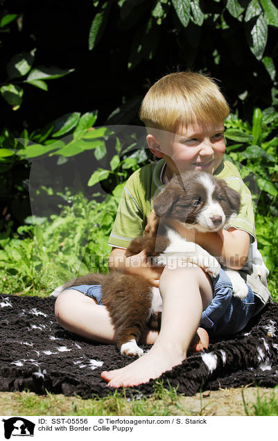 Kind mit Border Collie Welpe / child with Border Collie Puppy / SST-05556