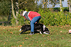 playing with Border Collie