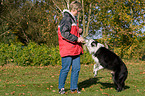 playing with Border Collie