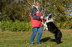 playing with Border Collie