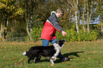 playing with Border Collie