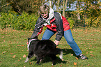 playing with Border Collie