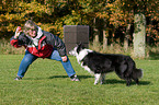 playing with Border Collie