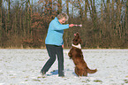 woman plays with Border Collie