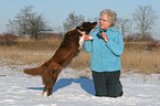 woman with Border Collie