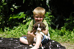 child with Border Collie Puppy