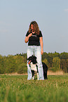 Border Collie shows dog dance