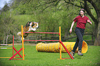 Border Collie at agility