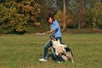 woman is playing with Border Collie