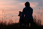 human and Border Collie