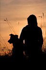 human and Border Collie