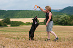 woman with Border Collies