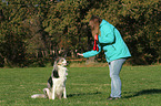 woman and Border Collie