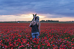 woman with Border Collie in the poppy field