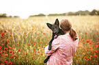 woman and young Border Collie