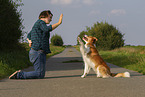 trickdog