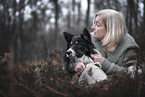 male Border Collie