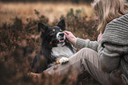 male Border Collie