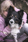 male Border Collie