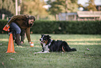 male Border Collie