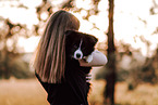 Border Collie Puppy