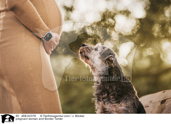 Schwangere und Border Terrier / pregnant woman and Border Terrier / JEB-02378