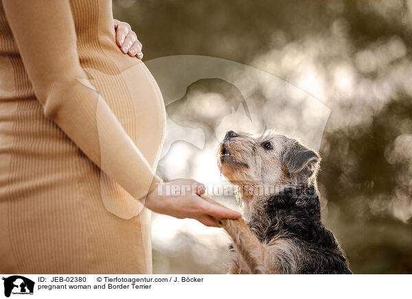 Schwangere und Border Terrier / pregnant woman and Border Terrier / JEB-02380