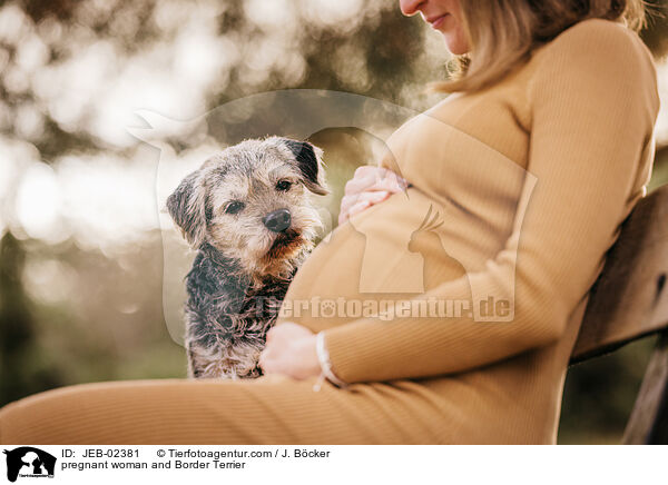Schwangere und Border Terrier / pregnant woman and Border Terrier / JEB-02381